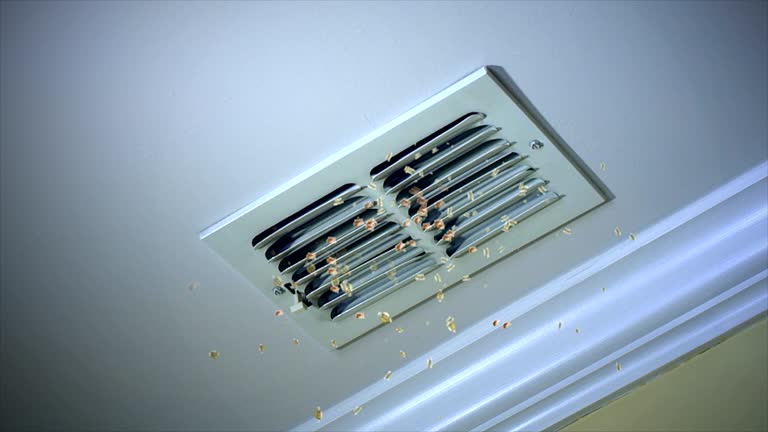 Best HVAC Maintenance and Cleaning  in Celina, TN
