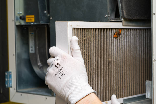Best Local Air Duct Cleaning Services  in Celina, TN