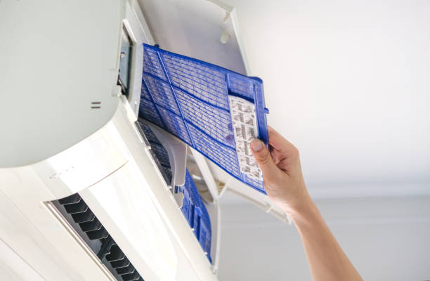 Best Air Duct Mold Removal  in Celina, TN