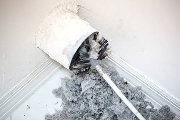 Best Professional Duct Cleaning Services  in Celina, TN